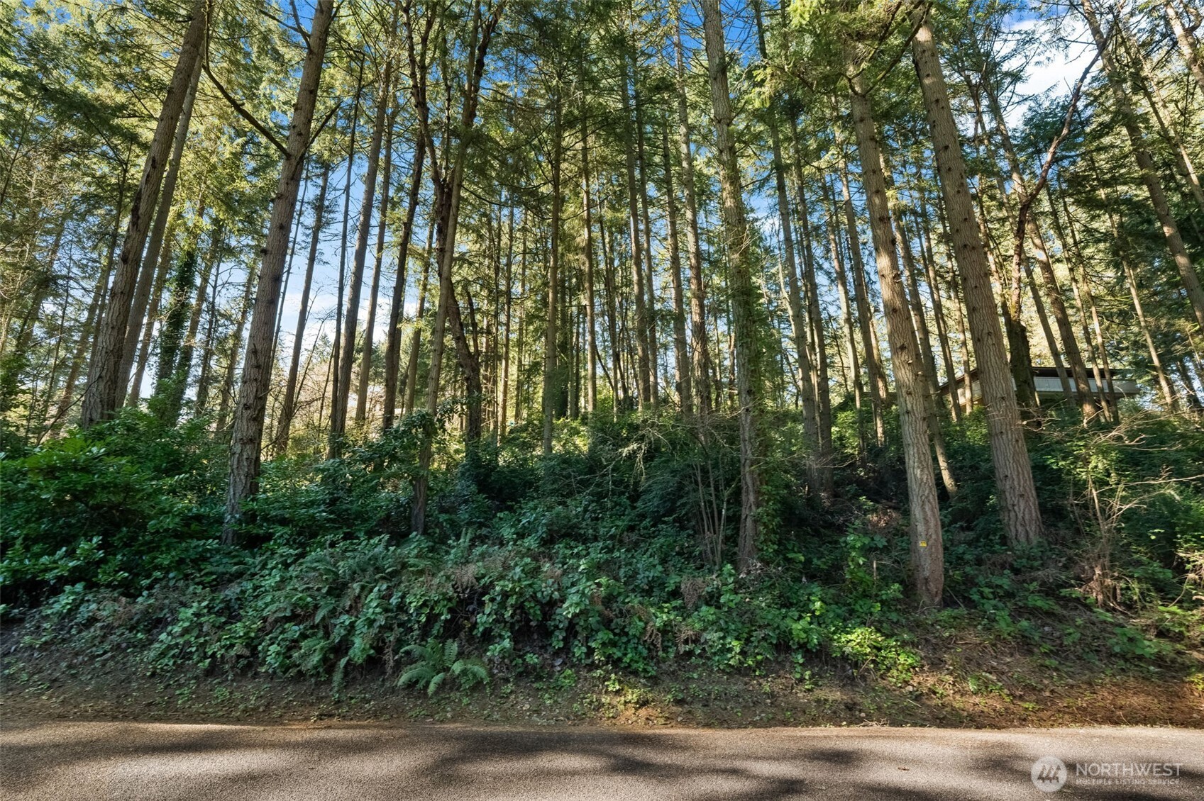 MLS #NWM2538504 image #4