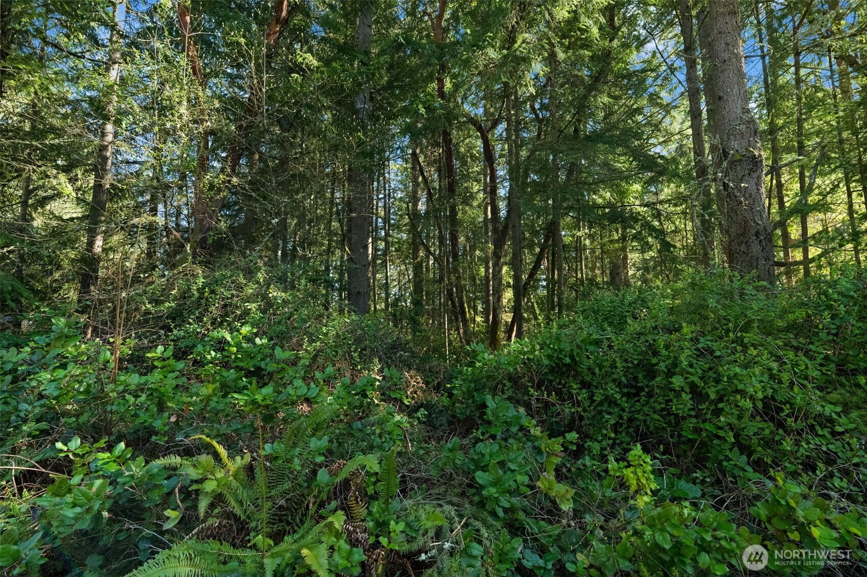 MLS #NWM2538504 image #6