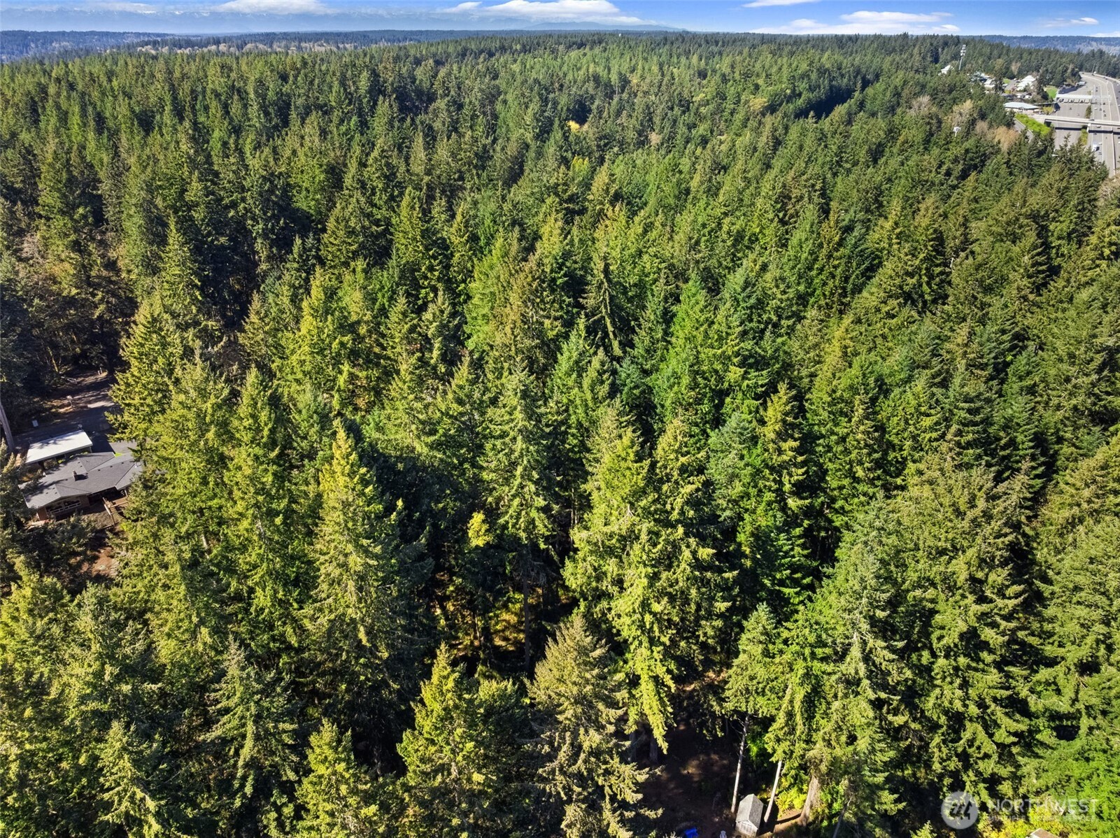 MLS #NWM2538504 image #7