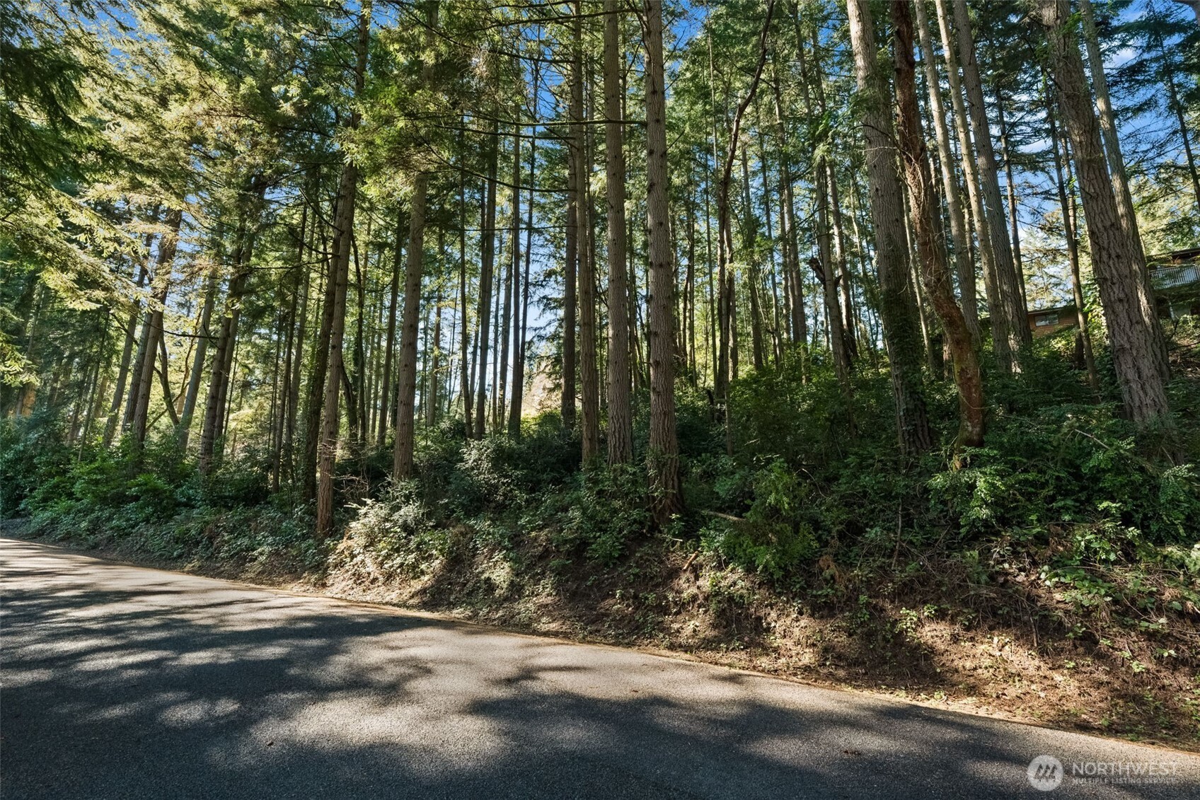 MLS #NWM2538504 image #9