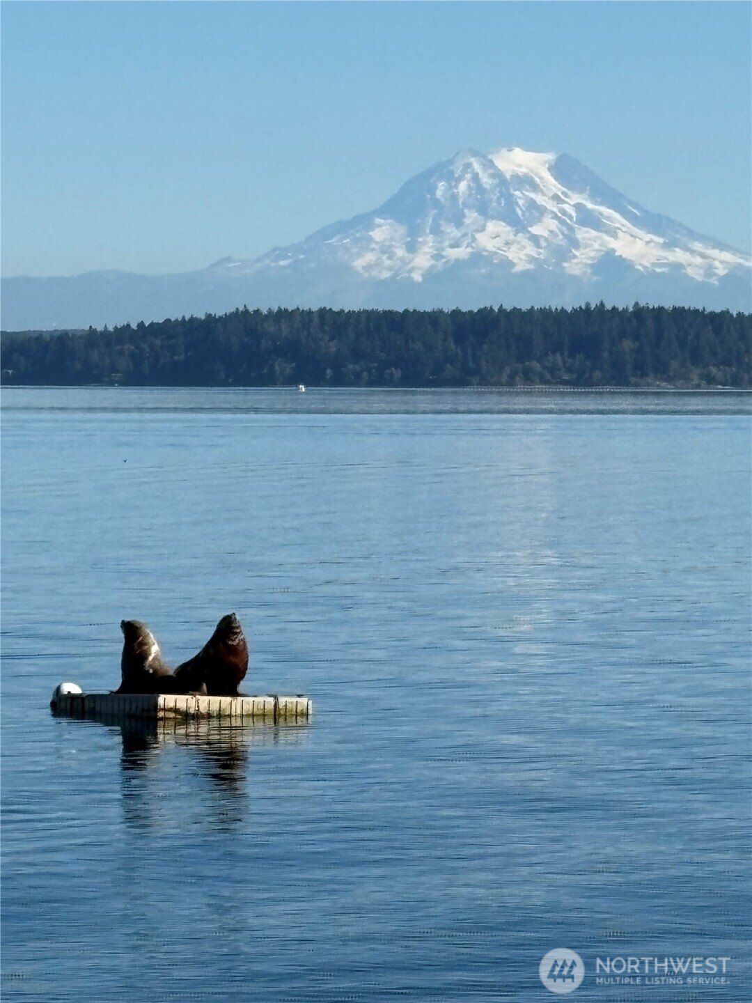 MLS #NWM2550338 image #38