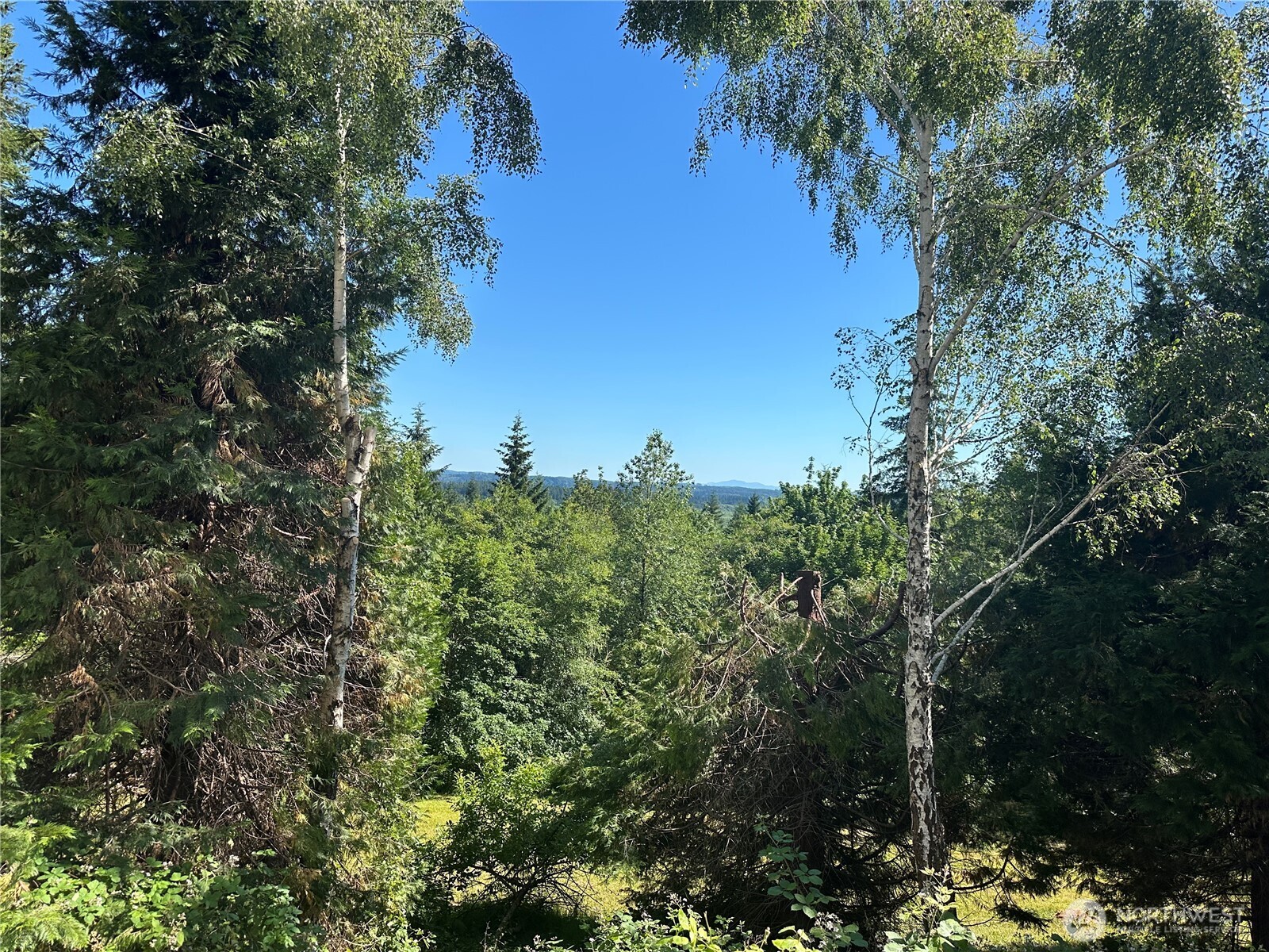 MLS #NWM2553626 image #25