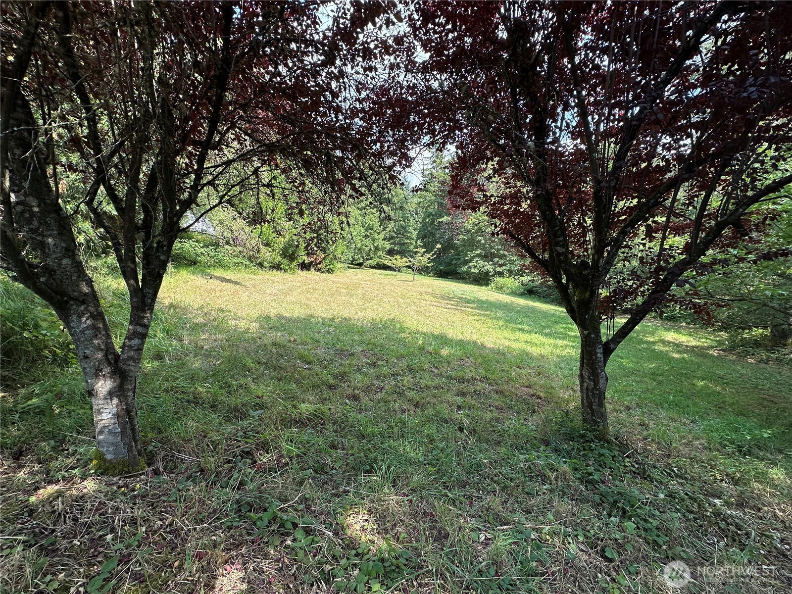 MLS #NWM2553626 image #26