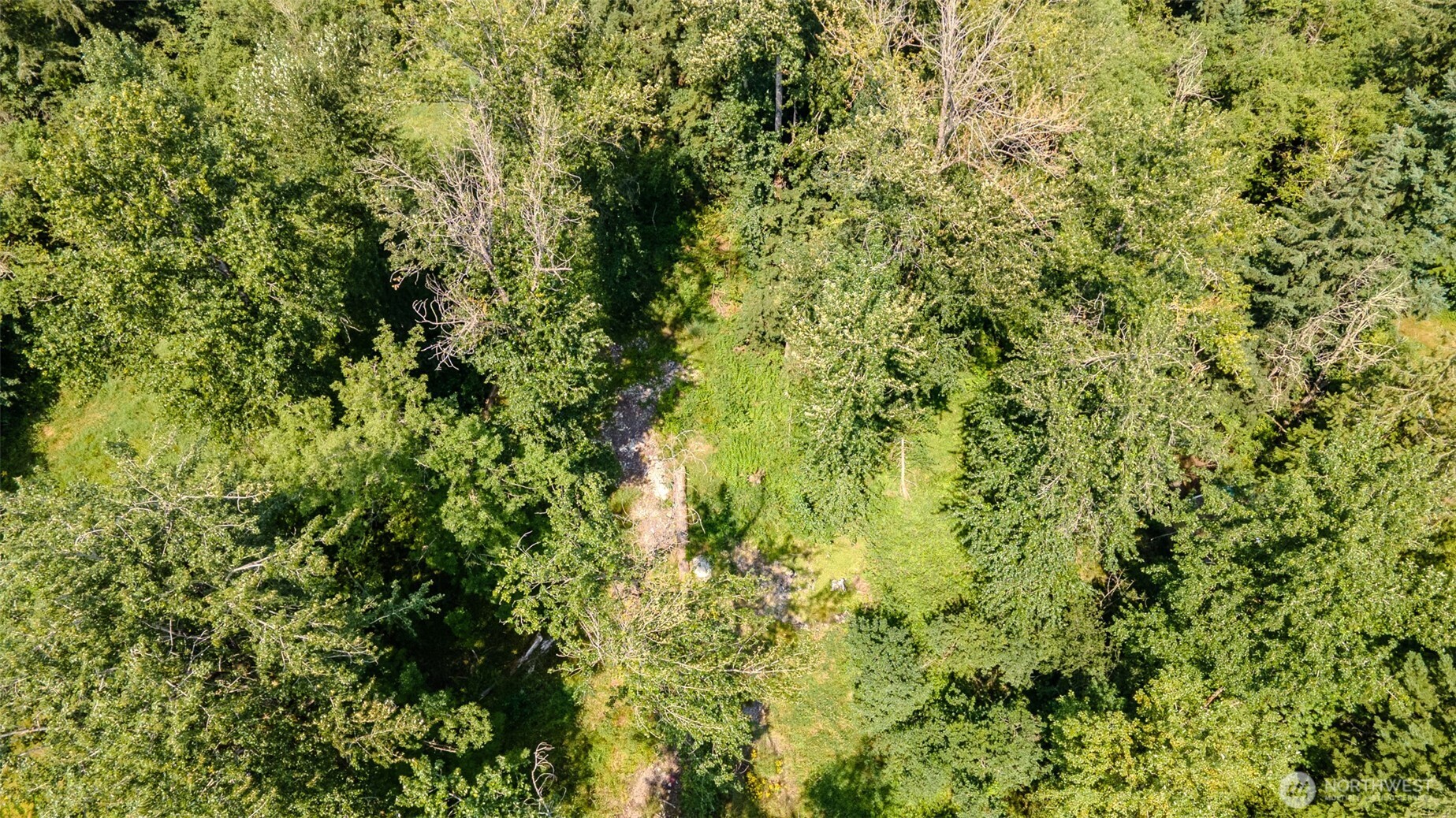 MLS #NWM2557764 image #6