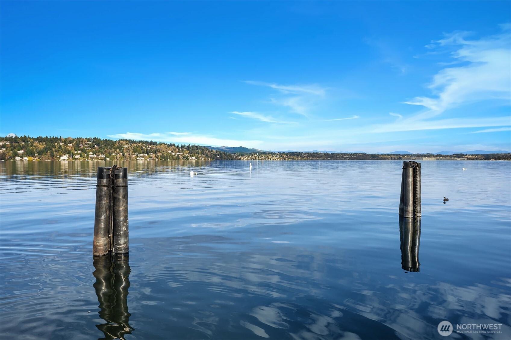 MLS #NWM2564331 image #32