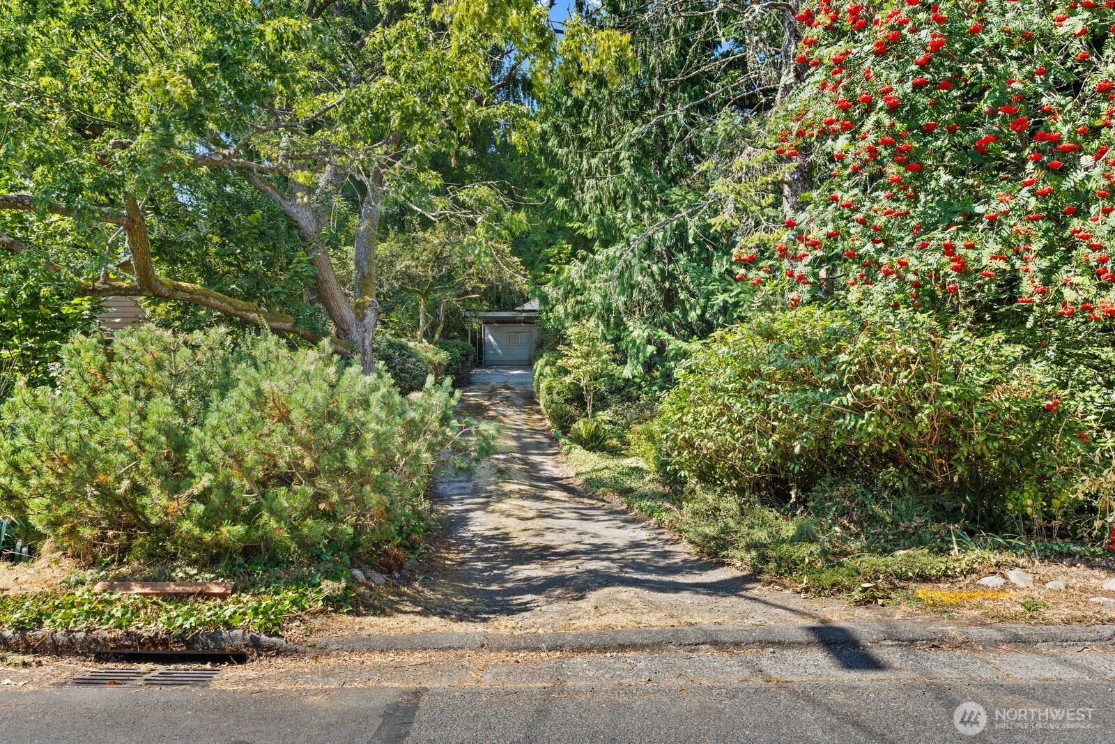 MLS #NWM2575603 image #1