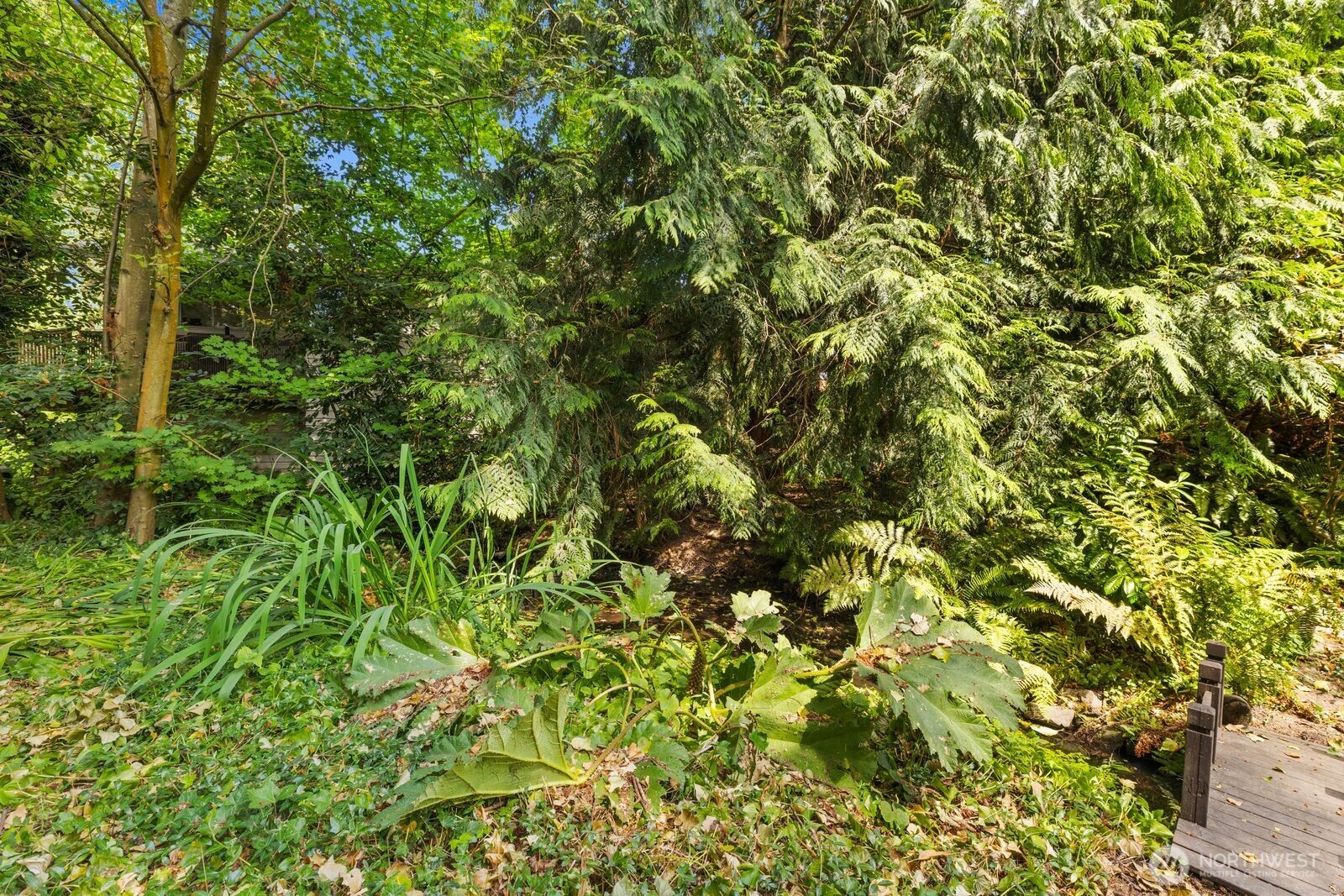 MLS #NWM2575603 image #17