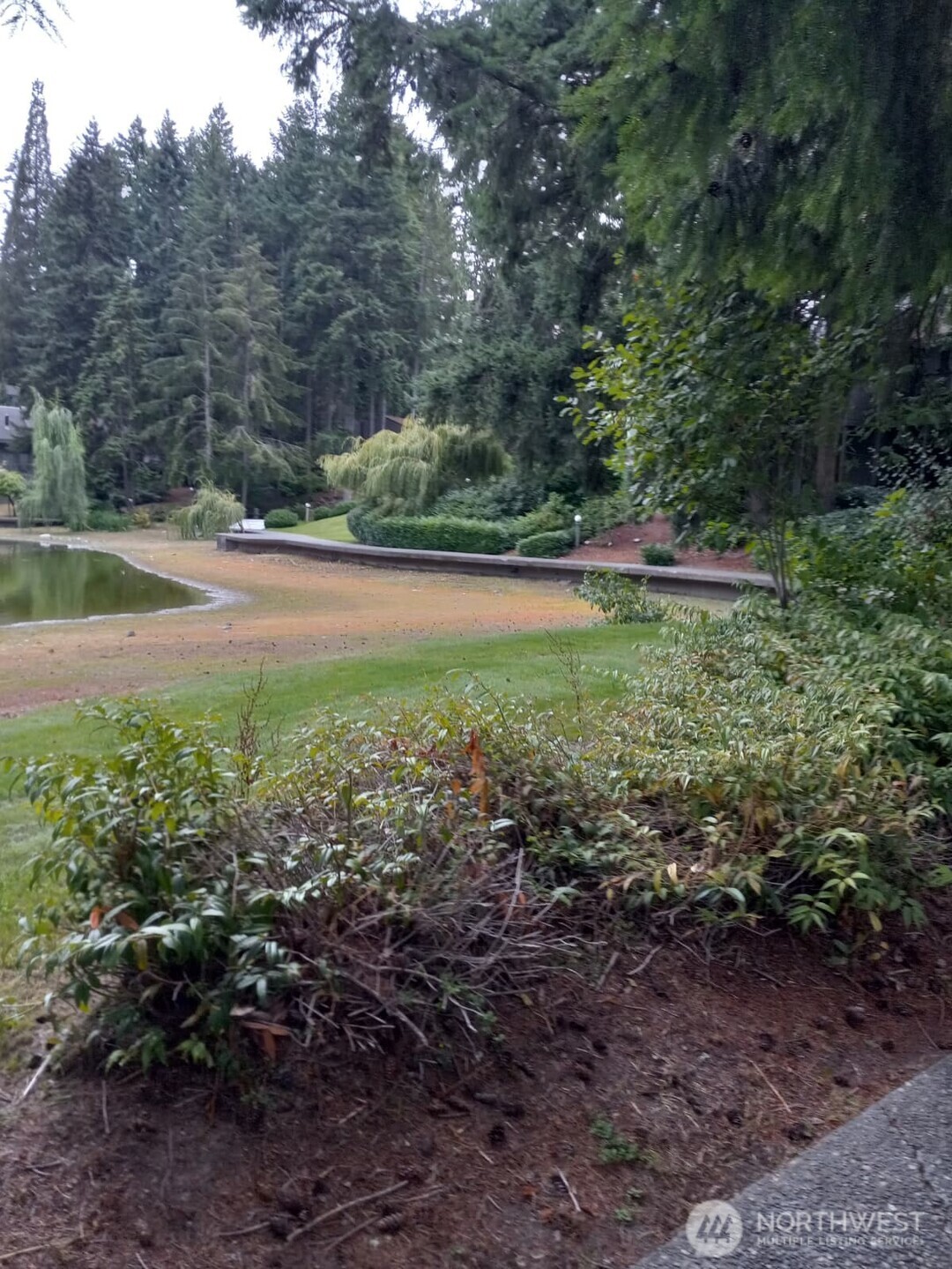 MLS #NWM2577349 image #4