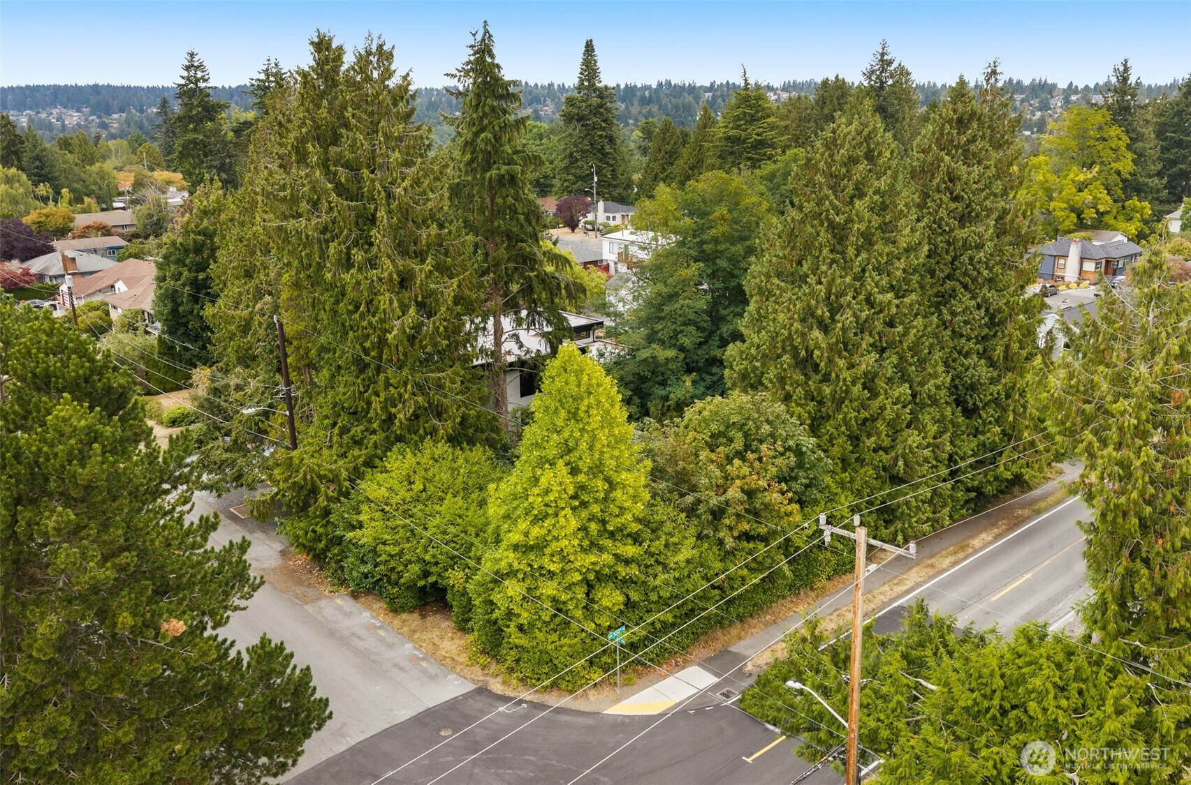 MLS #NWM2578574 image #7