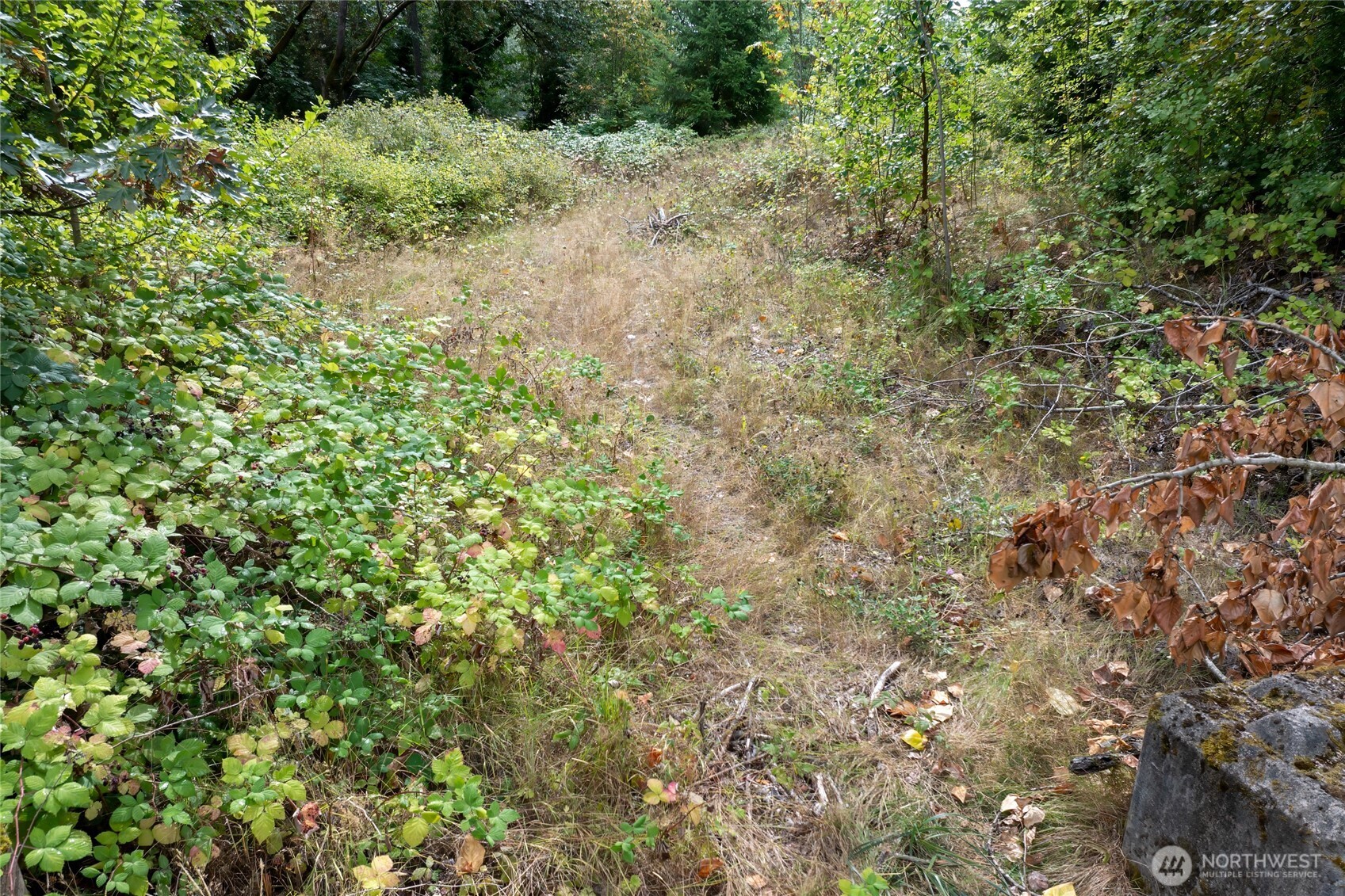 MLS #NWM2581320 image #13
