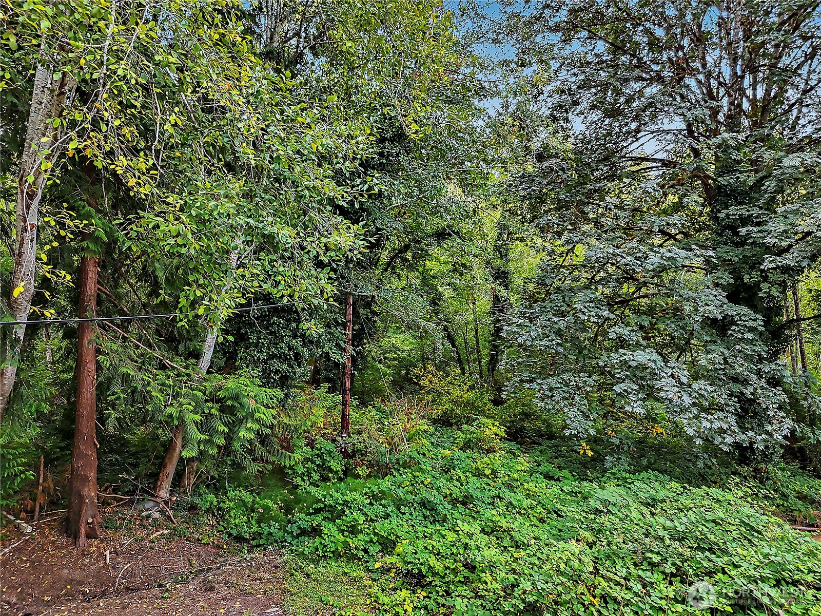 MLS #NWM2582070 image #1