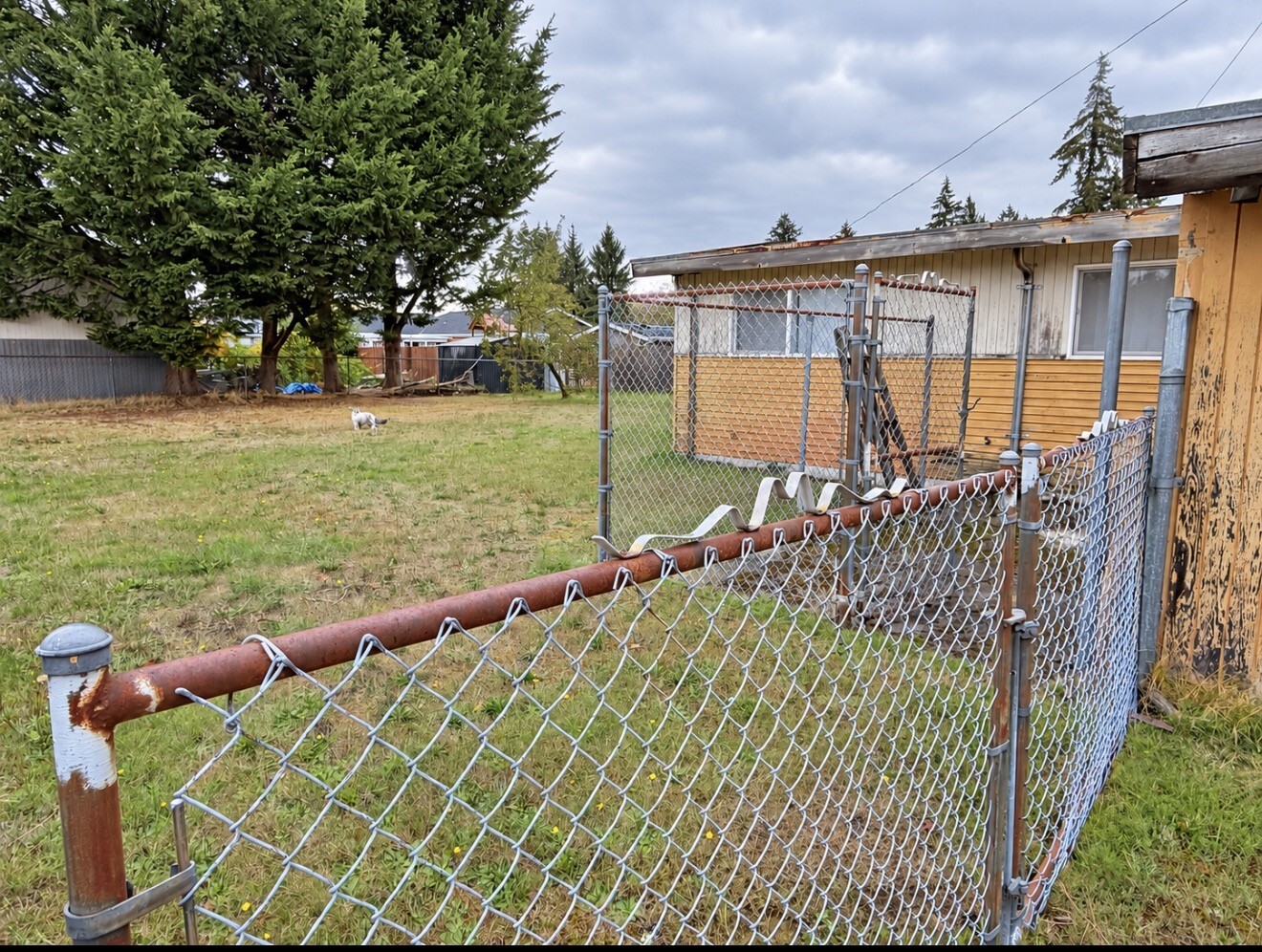 MLS #NWM2599703 image #17