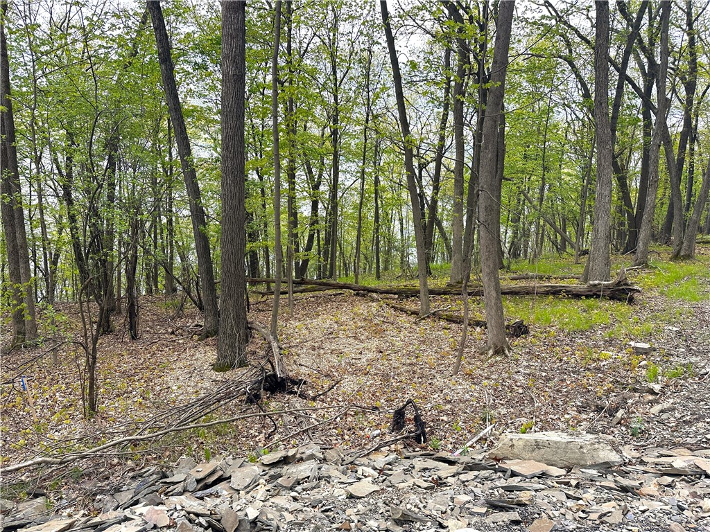 MLS #R1680036 image #0
