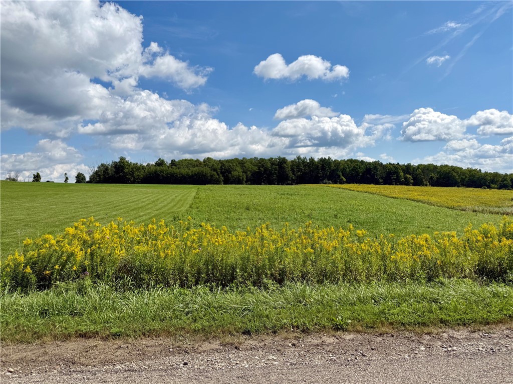 MLS #R1713865 image #0