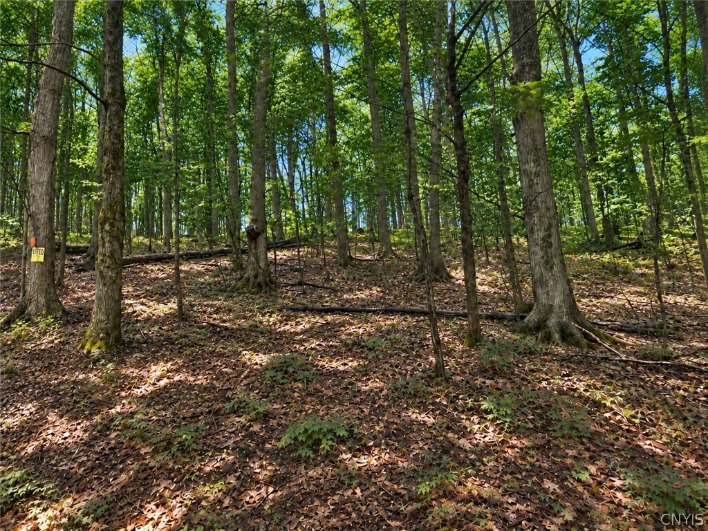 MLS #S1714112 image #0