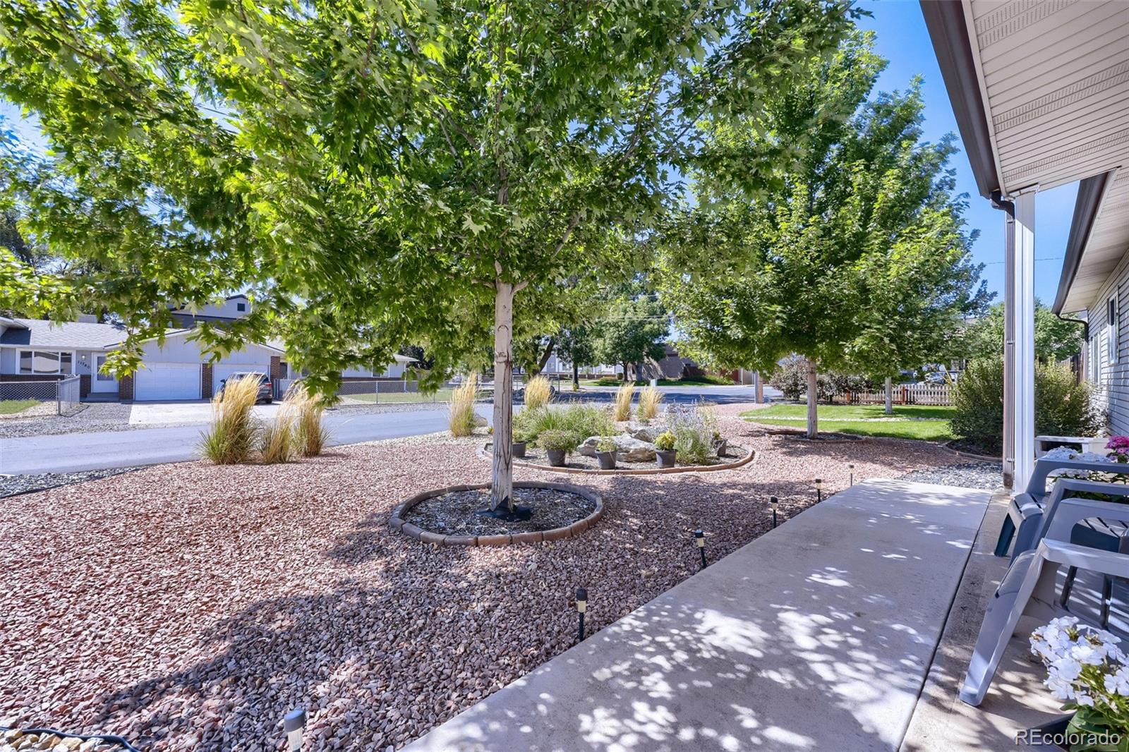 11781 W 46th Avenue Wheat Ridge CO 80033 | MLS #1533801 Image 4