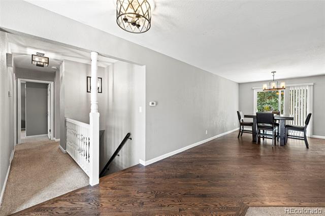 6902 S Lamar Street Littleton CO 80128 | MLS #1605949 Image 6