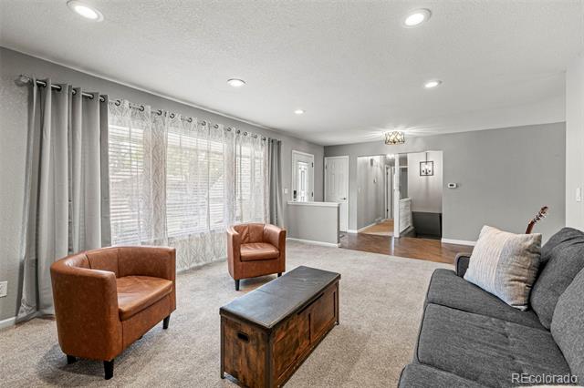 6902 S Lamar Street Littleton CO 80128 | MLS #1605949 Image 8