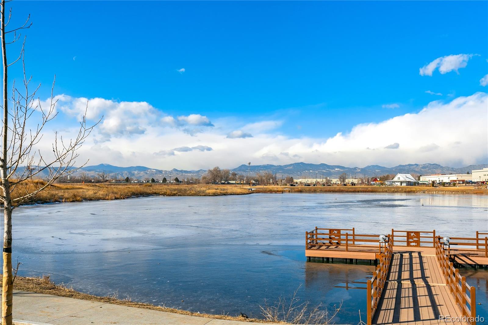 4097 W 53rd Avenue Denver CO 80212 | MLS #2003896 Image 8