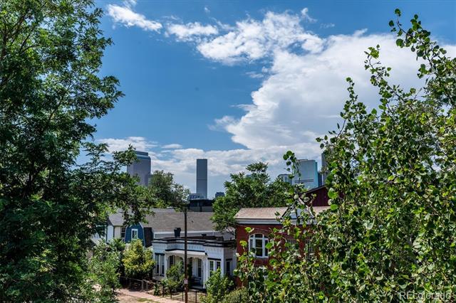 2480 N Clarkson Street Denver CO 80205 | MLS #2045364 Image 30