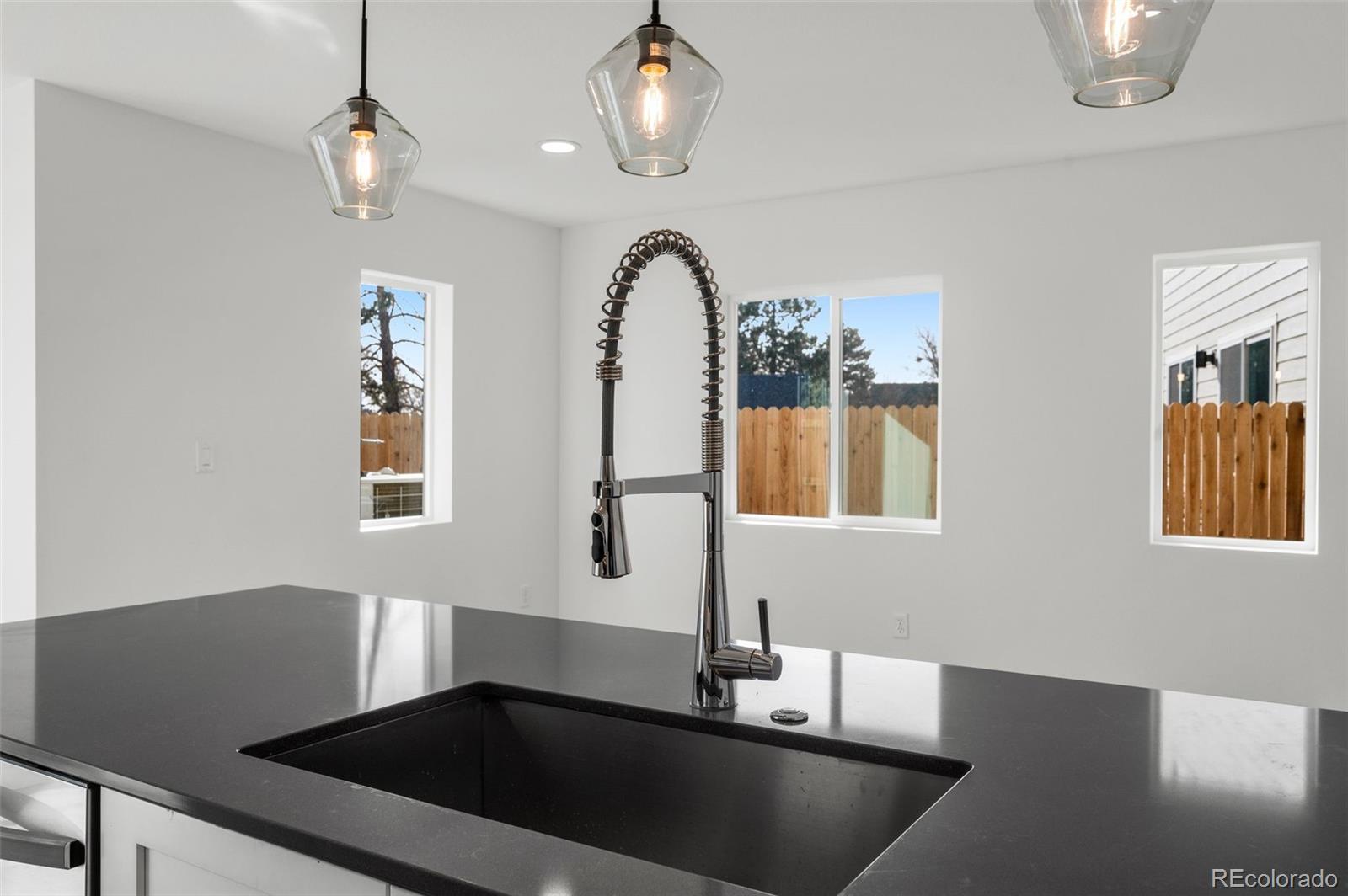 5282 Columbine Lane Denver CO 80221 | MLS #2387523 Image 2