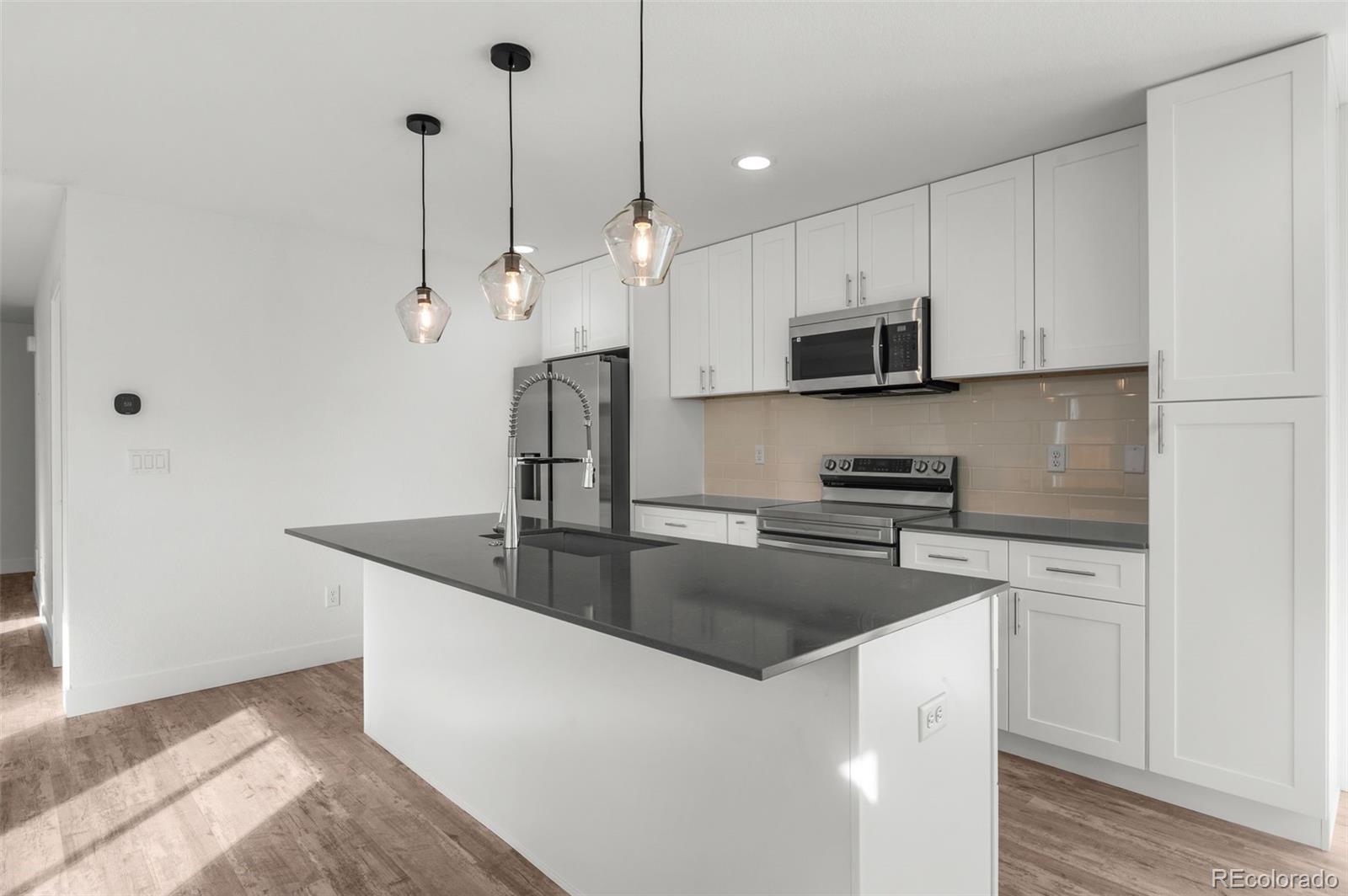 5282 Columbine Lane Denver CO 80221 | MLS #2387523 Image 3