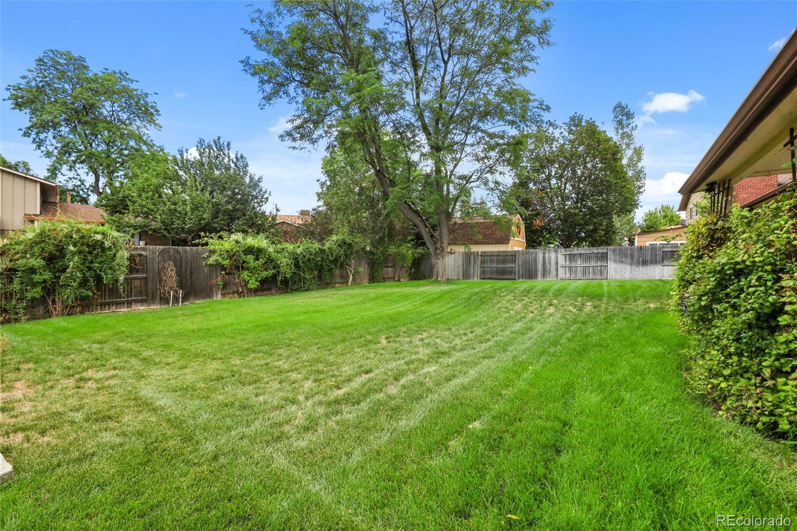 8118 S Marshall Street Littleton CO 80128 | MLS #2562514 Image 45