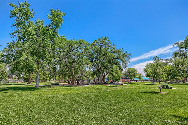 2955 Champa Street Denver CO 80205 | MLS #2593136 Image 21