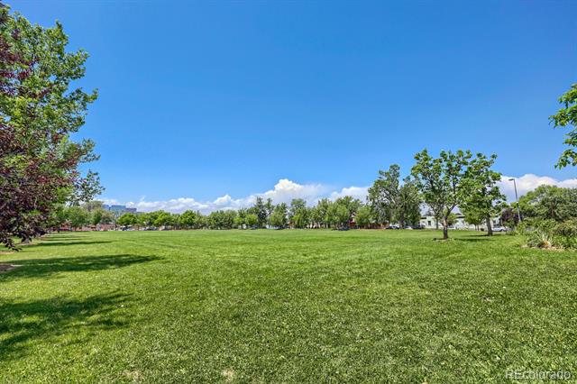 2955 Champa Street Denver CO 80205 | MLS #2593136 Image 22