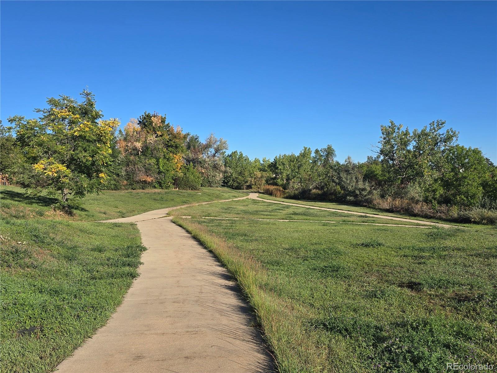 6528 S Cody Way Littleton CO 80123 | MLS #2710810 Image 43