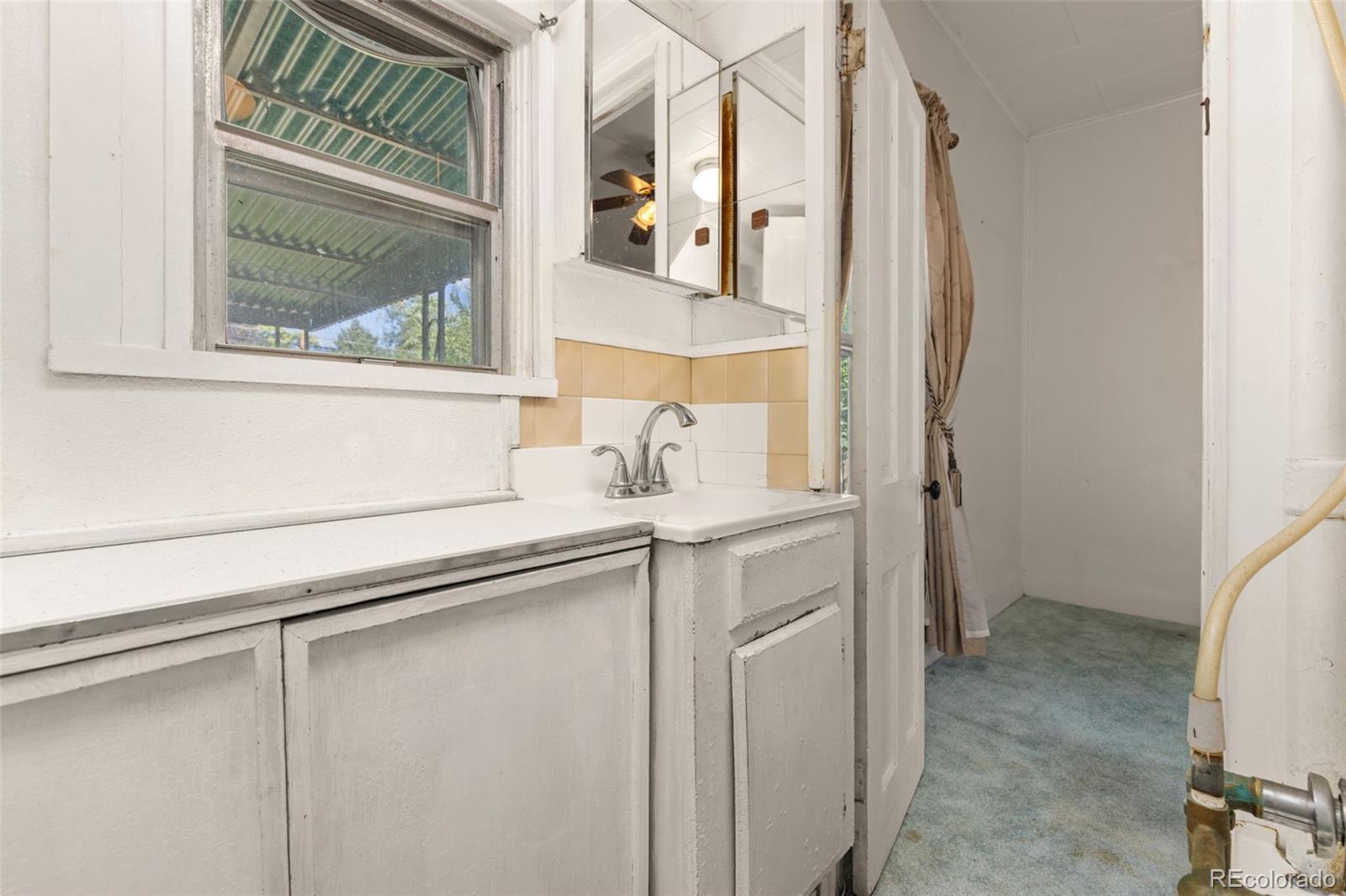 4561 Lowell Boulevard Denver CO 80211 | MLS #2455997 Image 15