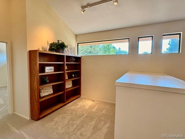 11629 Quivas Circle Westminster CO 80234 | MLS #2931667 Image 24