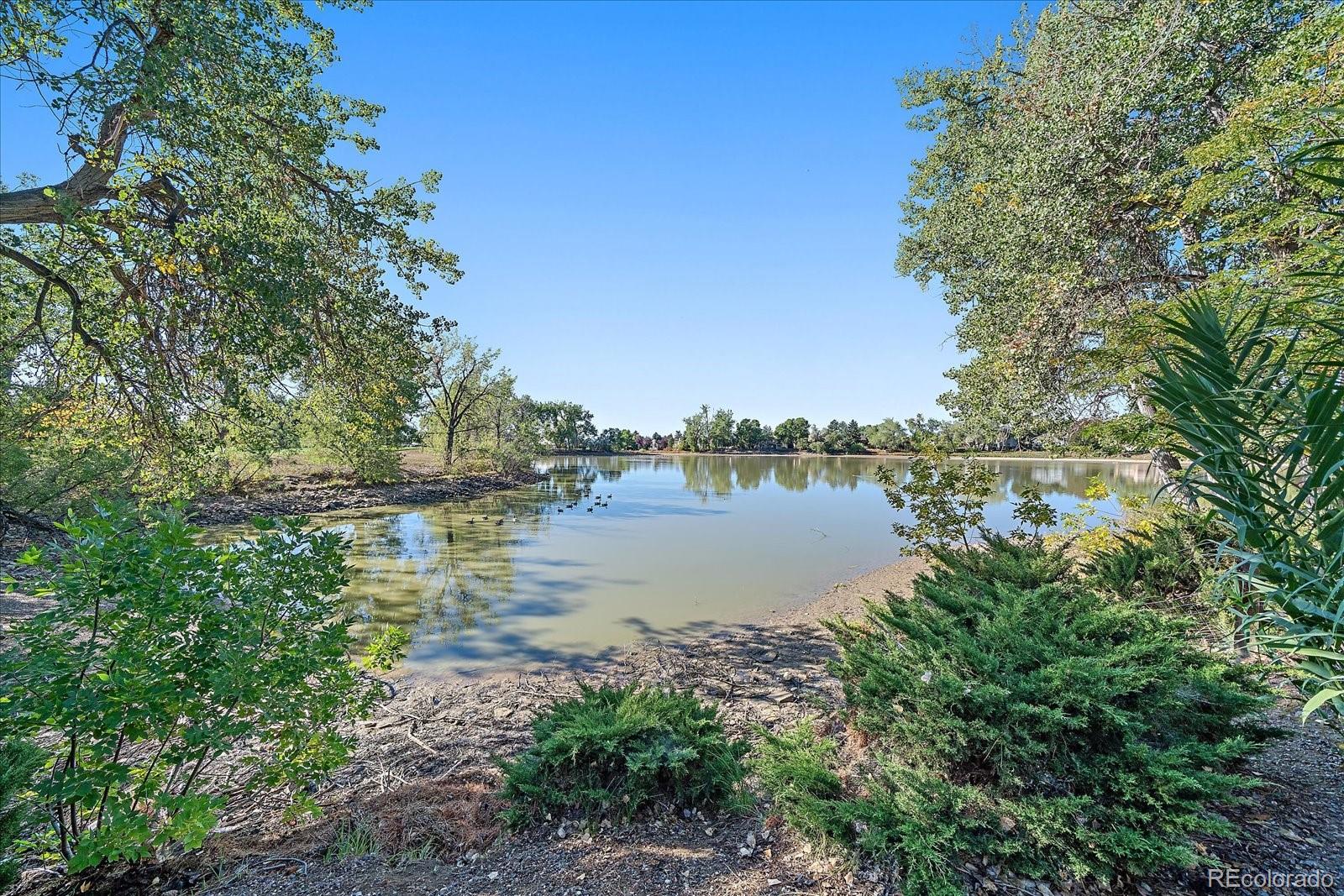 1364 Nissen Place Broomfield CO 80020 | MLS #3023610 Image 35
