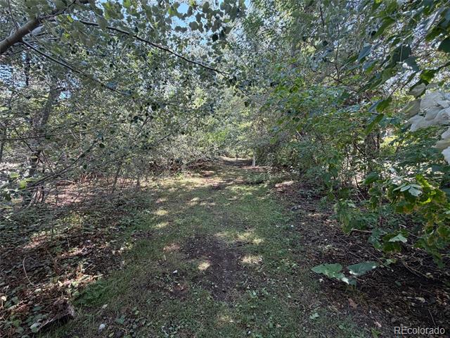 1395 Orchard Road Golden CO 80401 | MLS #3045952 Image 40
