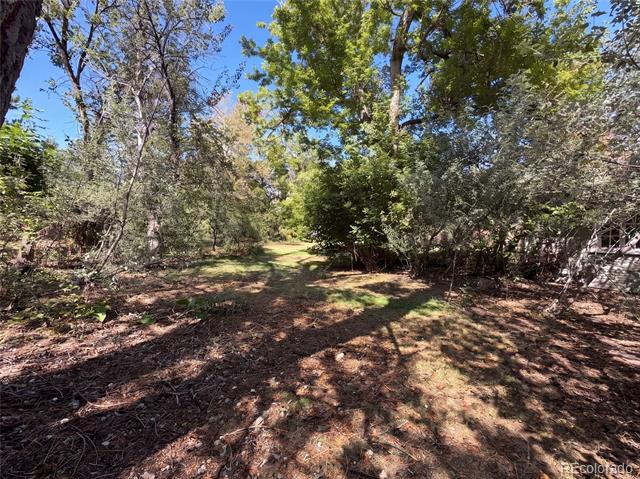 1395 Orchard Road Golden CO 80401 | MLS #3045952 Image 41