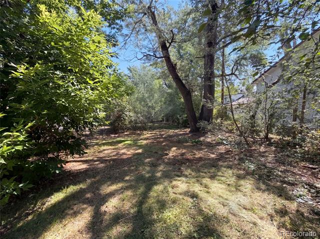 1395 Orchard Road Golden CO 80401 | MLS #3045952 Image 43