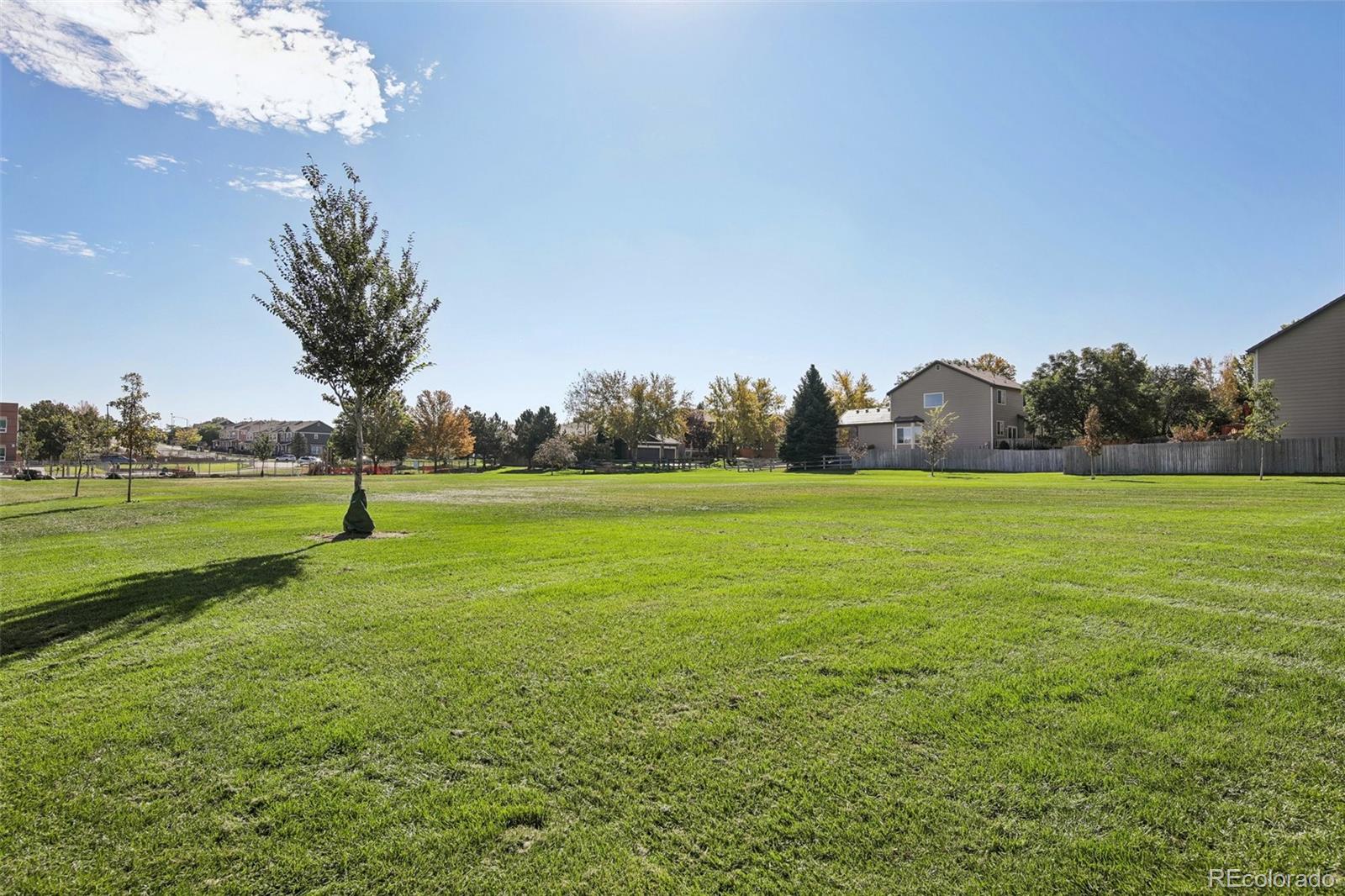 13799 Madison Street Thornton CO 80602 | MLS #3056911 Image 26