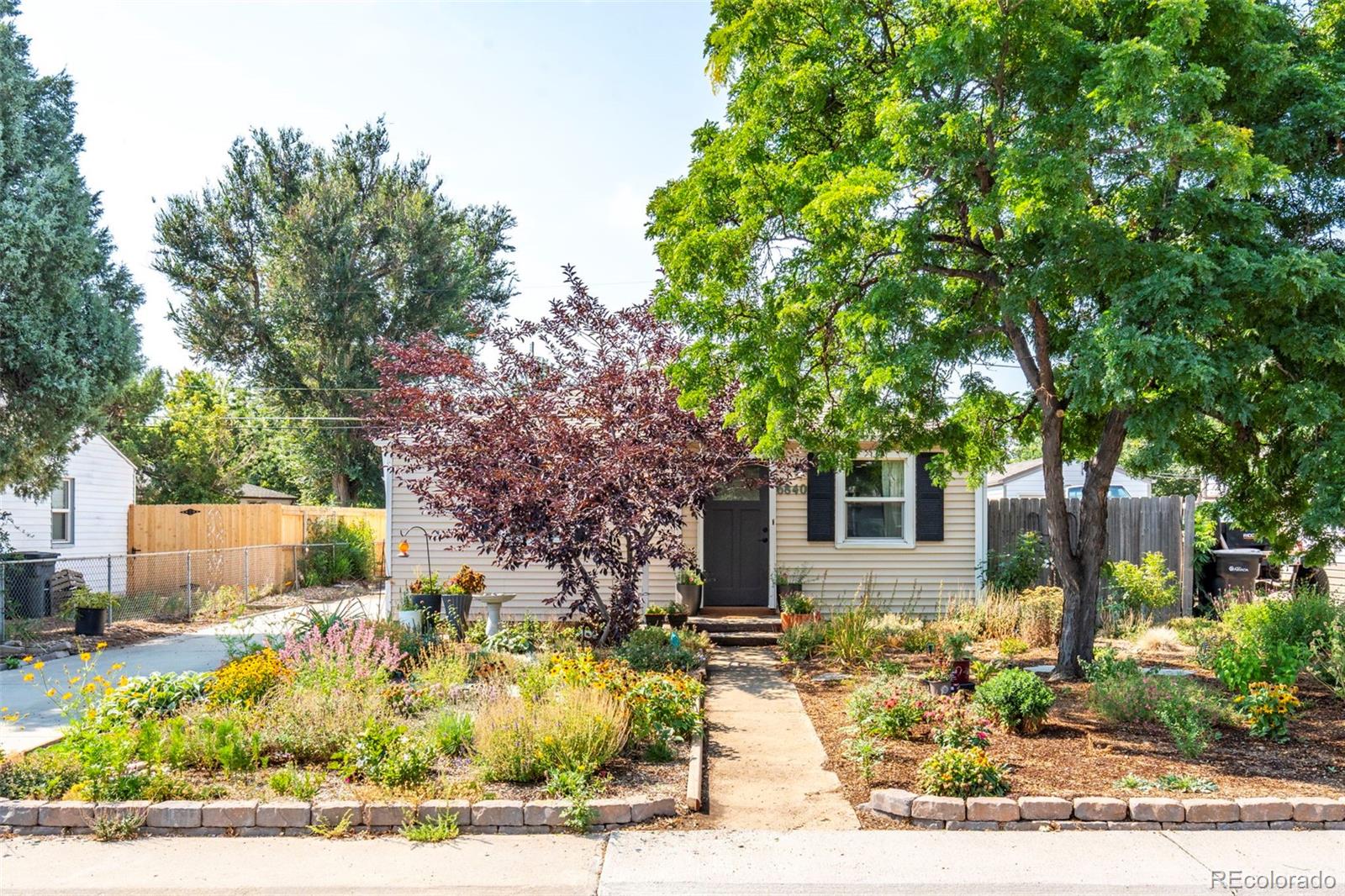 6840 Reno Drive Arvada CO 80002 | MLS #3074759 Image 3