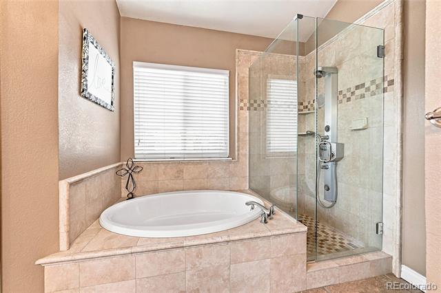 6504 S Wright Street Littleton CO 80127 | MLS #3426236 Image 10