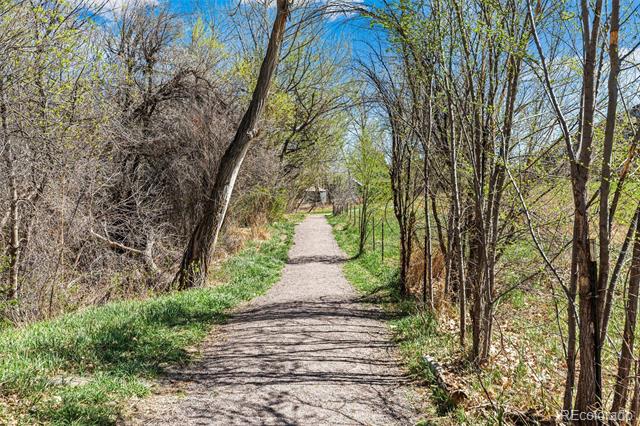 905 Welch Street Golden CO 80401 | MLS #3445809 Image 31