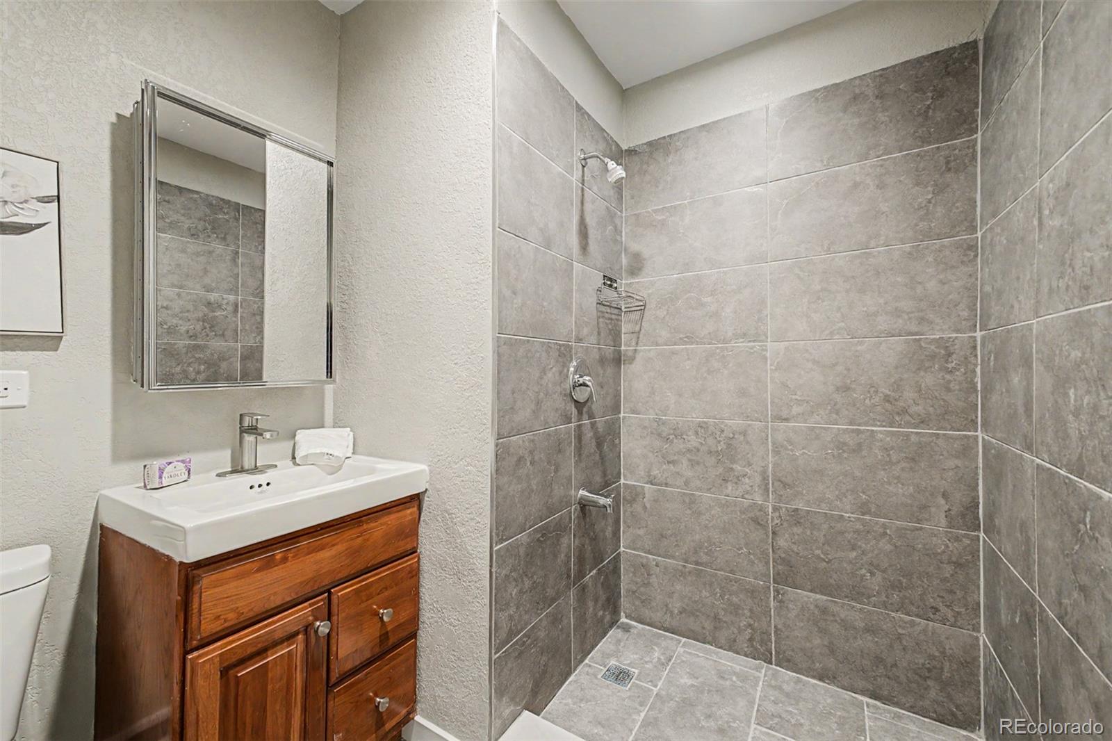 4885 W 11th Avenue Denver CO 80204 | MLS #3568818 Image 13