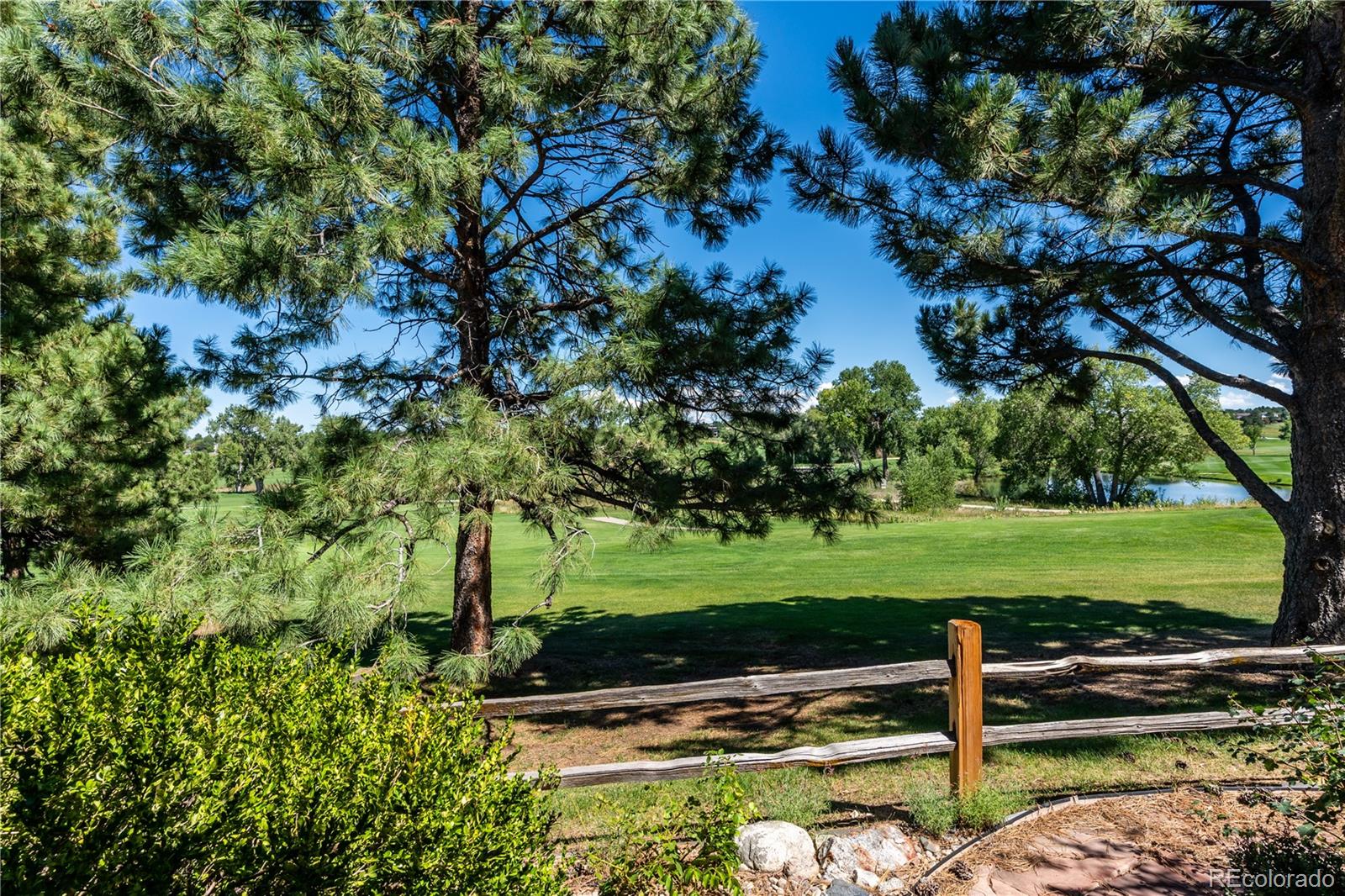 8218 S Albion Street Centennial CO 80122 | MLS #4464827 Image 30