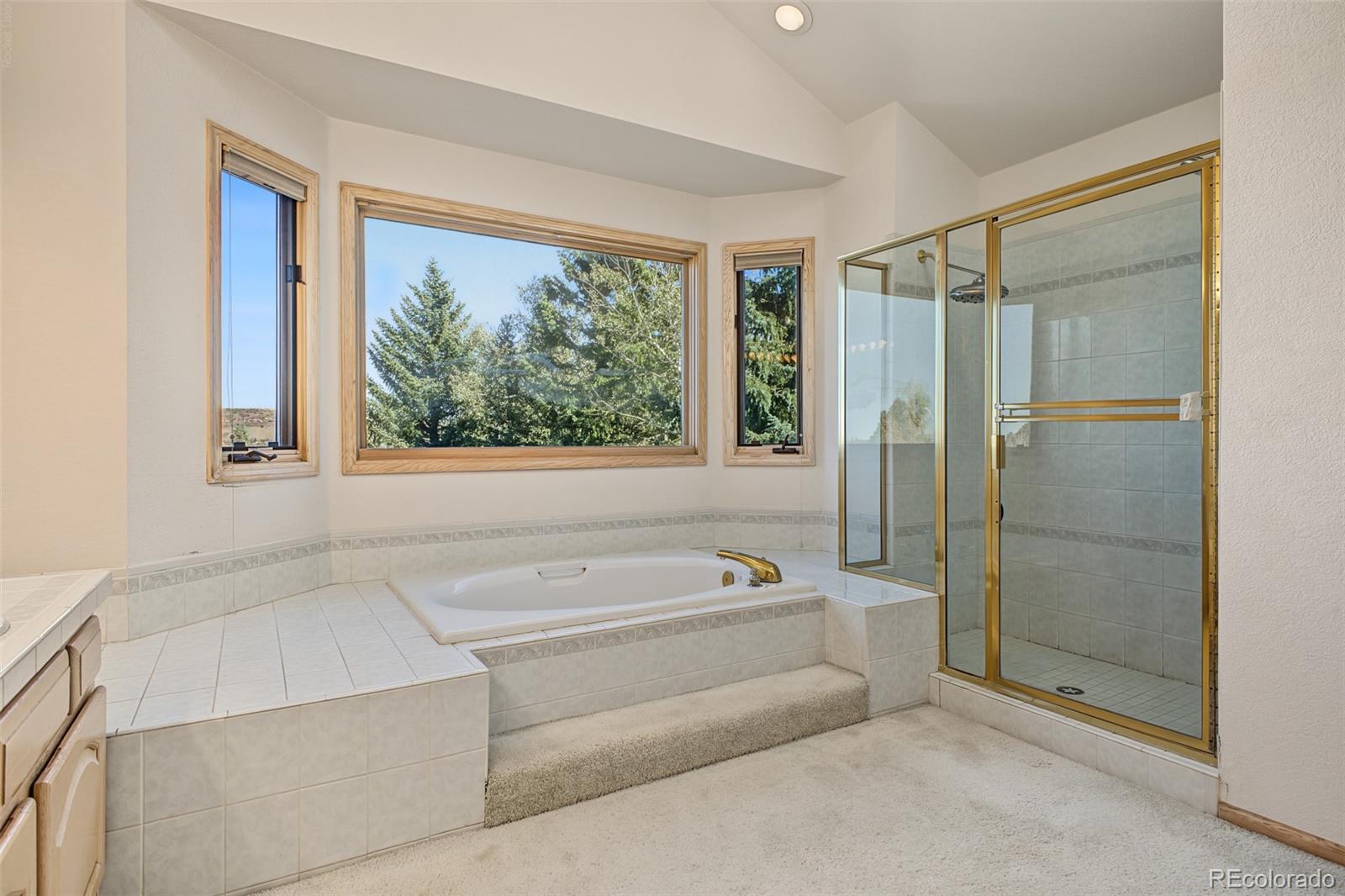 84 Deerwood Drive Littleton CO 80127 | MLS #4608530 Image 23