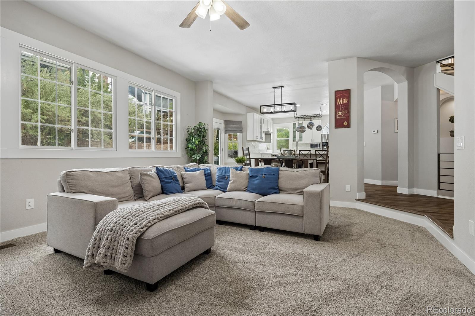 117 Willowleaf Drive Littleton CO 80127 | MLS #5158944 Image 11