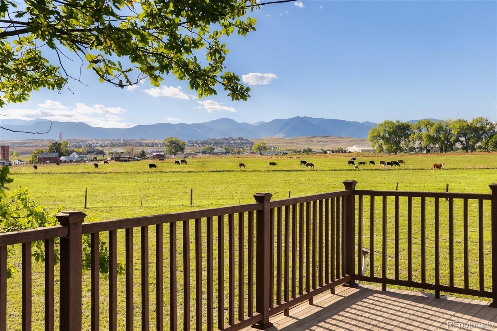 9445 Alkire Street Arvada CO 80005 | MLS #5635223 Image 24