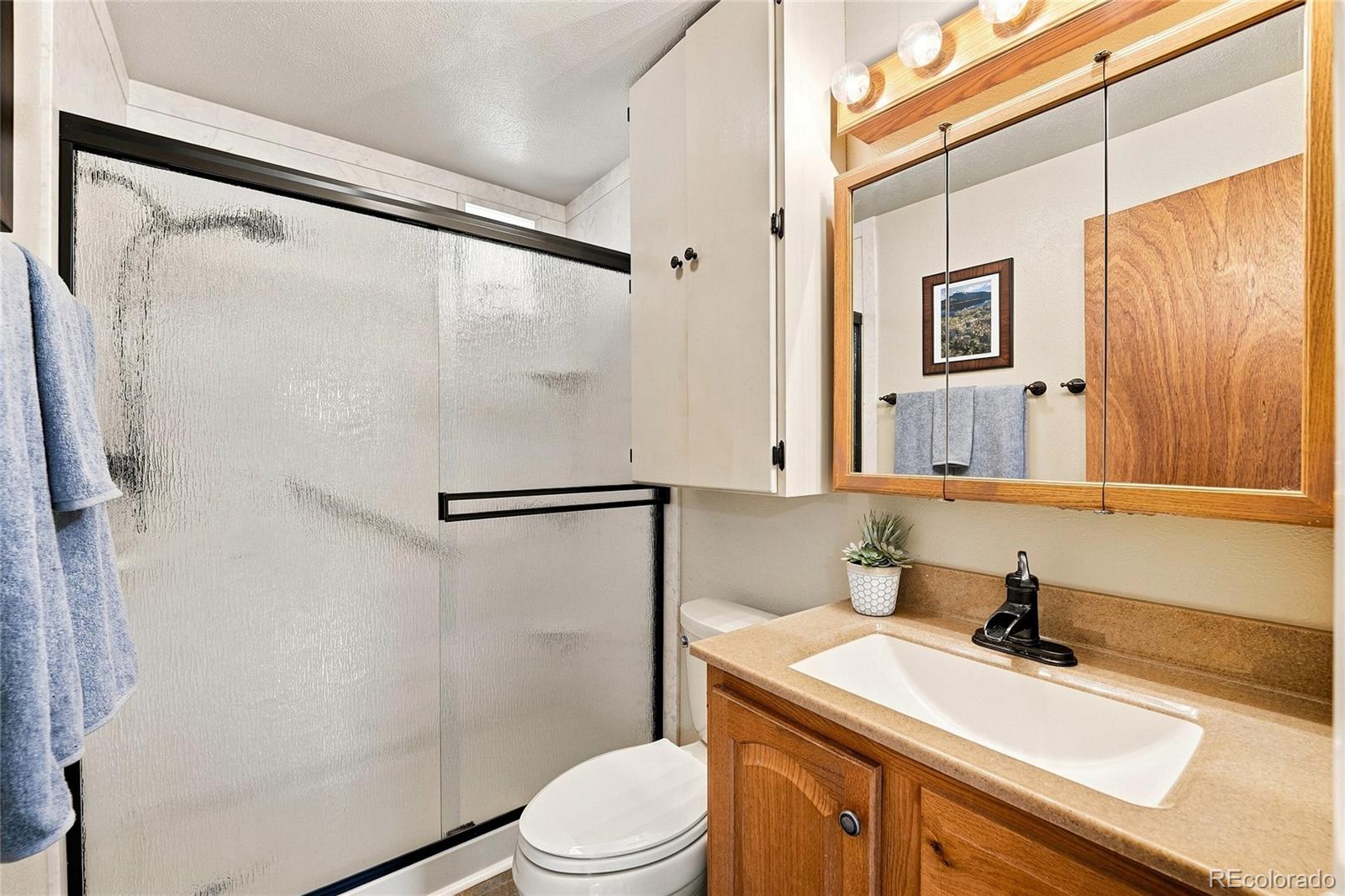 7290 S Penrose Court Centennial CO 80122 | MLS #5718384 Image 14