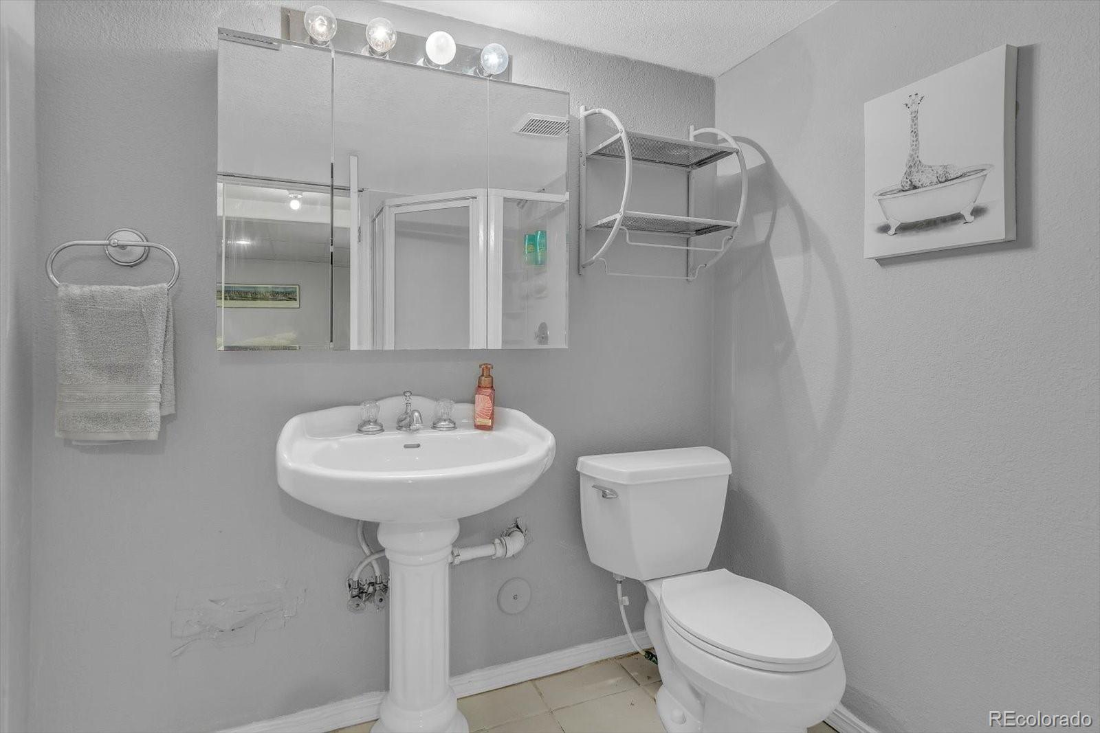 4131 Snowbird Avenue Broomfield CO 80020 | MLS #5759980 Image 33