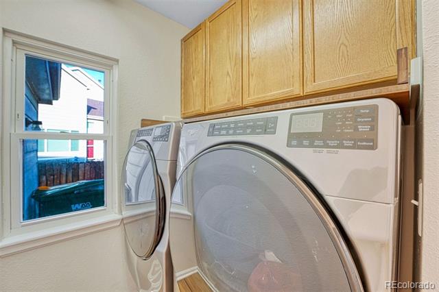 Image 16