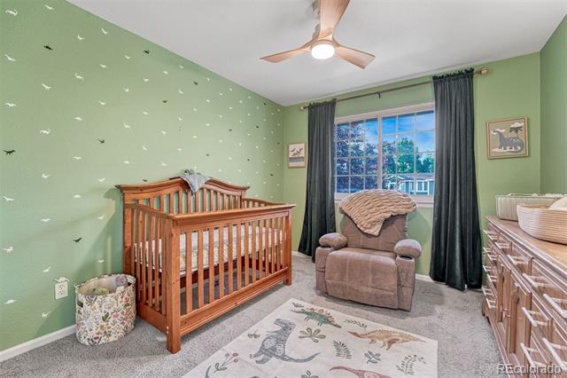 Image 25