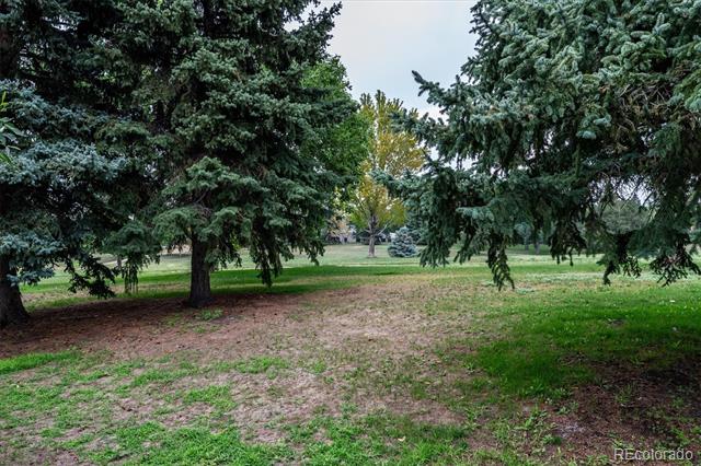 14767 E Wagon Trail Drive Aurora CO 80015 | MLS #6075213 Image 29